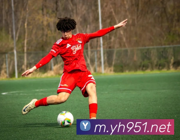 App界面